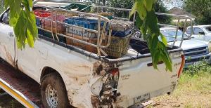 สกัดจับแก๊งค้าลิงแสมส่งทำเมนูเปิบพิศดารในประเทศเพื่อนบ้าน ยึดลิงของกลาง 45 ตัว