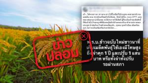 ข่าวปลอม! พ.ร.บ. ข้าวฉบับใหม่ ชาวนาเก็บเมล็ดพันธุ์ใช้เองมีโทษจำคุก 1 ปี และปรับ 1 แสนบาท