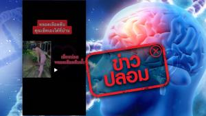 ข่าวปลอม! เช็กว่าเป็นโรคหลอดเลือดตีบที่สมองด้วยตนเอง เพียงแค่ยืนและก้มศีรษะ