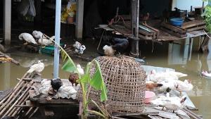 ชุมชนบ้านเกาะพระ บางปะอินกว่า 200 หลังคาเรือนยังจมน้ำ