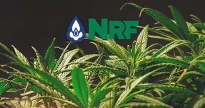 NRF ซื้อหุ้น GTH เพิ่มเป็น 100% ลุยกัญชง