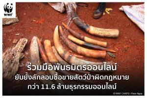 WWF เตือน!! หยุดซื้อ-ขายสัตว์ป่าผิดกมฎหมาย พบธุรกรรมบนโซเชียลมีเดียกว่า 11.6 ล้านรายถูกลบทิ้ง
