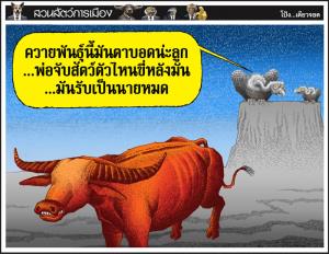 ควายพันธุ์เชื่อง