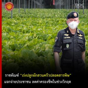 วิกฤตผักแพง! สั่งเรือนจำที่มีความพร้อมปลูกผักสวนครัวแจกชาวบ้านฟรี