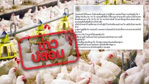 ข่าวปลอม! ไก่ไทยถูกฉีดยาอนาโบลิกสเตียรอยด์ ยาปฏิชีวนะ และฮอร์โมนการเจริญเติบโต ทำให้ผู้บริโภคเสี่ยงเป็นมะเร็ง