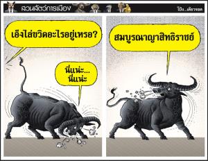 ควาย...จริงๆ