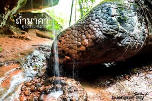 หินหัวงู หรือ หินหัวนาคา 1 (ภาพจาก : เพจ Buengkan day)