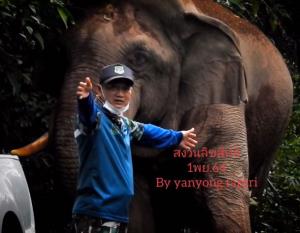 ชาวเน็ตแห่หนุนบรรจุ “ลุงวิสุทธิ์” ชายผู้สยบช้างป่าเป็นข้าราชการ