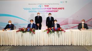 บอร์ด TRUE และ DTAC เปิดไฟเขียวศึกษาแผนควบรวมกิจการระหว่างกัน
