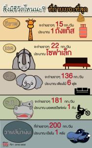 สิ่งมีชีวิตไหนนะ? ที่ถ่ายเยอะที่สุด