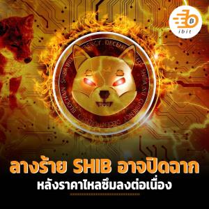 ลางร้าย SHIB อาจปิดฉาก หลังราคาไหลซึมลงต่อเนื่อง