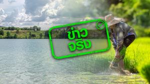 ข่าวจริง! กรมชลประทานจัดสรรงบ 4.4 พันล้าน ช่วยเหลือเกษตรกร 75,000 คน ซ่อมแซมปรับปรุงงานชลประทาน