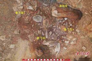 ชิ้นส่วนงาช้างและกระดูกสัตว์ที่ถูกนำมาทำเป็นเครื่องไม้เครื่องมือในยุคราวแสนปี ที่ขุดพบในแหล่งขุดค้นทางโบราณคดีที่อำเภออี๋สุ่ย มณฑลซันตง (แฟ้มภาพจาก chinanews.com)