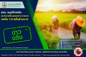 ข่าวจริง! ครม. อนุมัติวงเงินประกันรายได้เกษตรกรข้าว ยางพารา วงเงิน 7.6 หมื่นล้านบาท