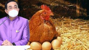 วอนโซเชียลเข้าใจเป้าหมาย “บิ๊กตู่” แนะ “เลี้ยงไก่บ้านละ 2 ตัว” ต้องการแก้ปัญหายากจน-ลดหนี้ครัวเรือน