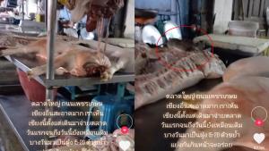 ลูกค้าแทบช็อก! "ฝูงหนู" รุมแทะเนื้อหมูบนแผงที่ตลาดสดดัง วอนเจ้าของดูแลความสะอาดให้ถูกสุขลักษณะ
