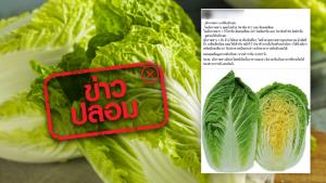 ข่าวปลอม! รับประทานผักกาดขาวเป็นประจำ ช่วยรักษาอาการตับอักเสบ
