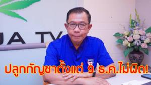ภท.ลั่นปลูกกัญชาตั้งแต่ 9 ธ.ค.64 ไม่ผิดกม.ถูกจับแจ้งพรรคจัดทนายช่วย เตือนตร.ปฏิบัติหน้าที่มิชอบ
