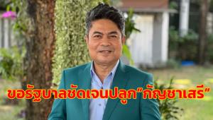 “เทพไท” จี้ รบ.ขอชัดปลูก “กัญชาเสรี” อย่าให้ ปชช.ตกเป็นเหยื่อ