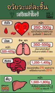 อวัยวะเเต่ละชิ้น  หนักเท่าไหร่