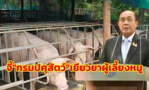 “บิ๊กตู่” เร่ง “ปศุสัตว์” เยียวยาผู้เลี้ยงหมูเร็วที่สุด กำชับทุกพื้นที่ให้ข้อมูลเฝ้าระวัง ASF