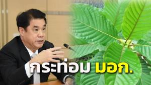 ก.อุตฯ เตรียมยกระดับ “ใบกระท่อม” แปรรูปเป็นสินค้า มอก.