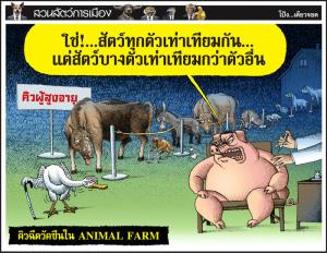 คิวฉีดวัคซีนใน ANIMAL FARM