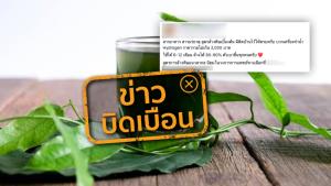 ข่าวบิดเบือน! ใบย่านาง พลูคาว รางจืด ปั่นละเอียดต้มน้ำใช้ล้างพิษในร่างกายได้ 80-90%