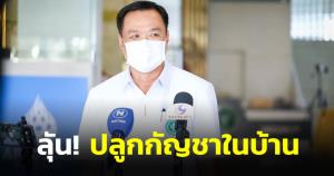 “อนุทิน” ลุ้น คกก.ยาเสพติด ป.ป.ส.เห็นชอบ ยส.5 ให้ปลูกกัญชาในครัวเรือน ยันทำทุกอย่างครบถ้วน