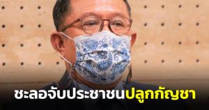 “ศุภชัย” แนะ “วิษณุ” ควรบอกตำรวจชะลอจับประชาชนปลูกกัญชา เผยเตรียมเสนอเป็น พ.ร.บ.เข้าสภา