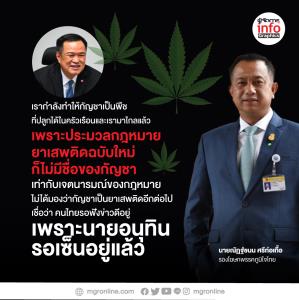 25 ม.ค.ลุ้นบอร์ด ป.ป.ส. เคาะเปิดทางกัญชาเสรี