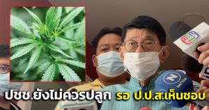 “วิษณุ” ชี้ สธ.เสนอปลดล็อกกัญชาได้ แนะ ปชช.ยังไม่ควรปลูก รอ ป.ป.ส.เห็นชอบ