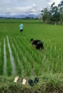อย่างฮา! 2 เด็กแว้นหนี ตร.จับ กระโดดลงทุ่งปลอมตัวเป็นชาวนา (ชมคลิป)