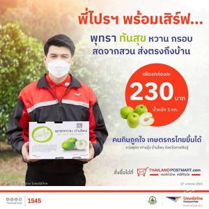 ปลอดภัยไร้สารฯ !! ไปรษณีย์ไทยหนุนเกษตรกรอีสาน เปิดส่ง “พุทรานมสด” เกรดพรีเมี่ยมจากกาฬสินธุ์