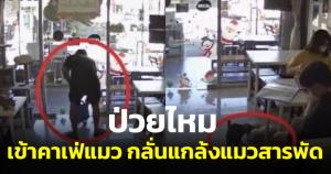 ทาสแมวเดือด! หนุ่มเข้าคาเฟ่แมว ทั้งเอาเมนูเขี่ย-เตะแมว แถมปล่อยแมวออกนอกร้าน (ชมคลิป)