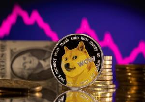 เรทติ้งตก?  มัสก์ทวิตท้าแมคโดนัลด์รับDOGE ดันราคาเหรียญมีมชิบะขยับแค่7%