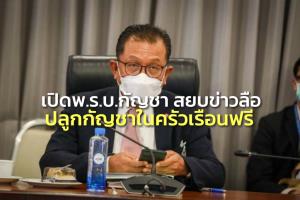 “ศุภชัย” เปิด พ.ร.บ.กัญชา ยันขอจดปลูกกัญชาครัวเรือนฟรี สยบข่าวลือชาวบ้านต้องจ่ายเงินหมื่น