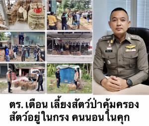 เตือนเลี้ยงสัตว์ป่าคุ้มครอง เจอโทษหนัก ทั้งจำทั้งปรับ