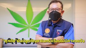 “ศุภชัย” ยืนยัน พ.ร.บ.กัญชากัญชง ประชาชนจดแจ้งไม่ต้องเสียค่าธรรมเนียมสักบาท อีก 120 วัน ปลูกได้