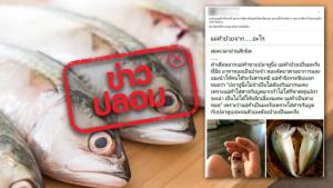 ข่าวปลอม! สัมผัสสารกันบูดในปลาทูนึ่ง ทำให้เป็นมะเร็งที่มือ