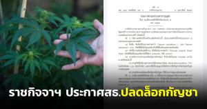 ราชกิจจาฯ ประกาศ สธ.ปลดล็อกกัญชาพ้นยาเสพติด อีก 120 วัน บังคับใช้ เพื่อใช้ทางการแพทย์