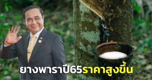 “บิ๊กตู่” พอใจยางพาราปี 65 แนวโน้มราคาสูงขึ้น-ไทยส่งออกกว่า 4.218 ล้านตัน ยกภาคเกษตรเป็นหัวใจสำคัญของประเทศ