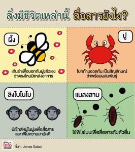 สิ่งมีชีวิตเหล่านี้ สื่อสารยังไง?