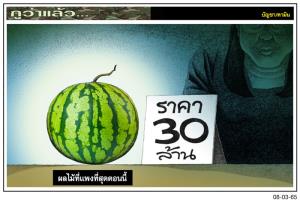 ผลไม้ที่แพงที่สุดตอนนี้