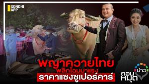พญาควายไทย พลิกโฉมมาแรง ราคาแซงซูเปอร์คาร์
