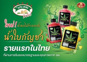 SNNP เปิดตัวน้ำผลไม้รวมผสมน้ำใบกัญชารายแรกของไทย