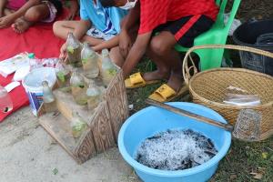ชื่นชมเด็กๆ ชักชวนออกมาขายปลากัดริมถนนบริเวณใกล้สี่แยกป่าโมก ขายปลาสร้างรายได้ให้ครอบครัว
