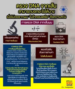 ตรวจ DNA จากเส้น  สามารถบอกอะไรได้บาง  เมื่อไม่เจอรากผม "ไมโทคอนเดรีย" คือความหวัง