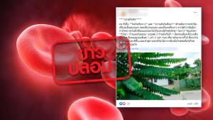 ข่าวปลอม! ก้านและใบมะยมต้ม สามารถใช้รักษาโรคโลหิตจางได้