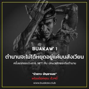 "บัวขาว บัญชาเมฆ" นักมวยไทยคนแรกเตรียมเขย่าวงการ NFT